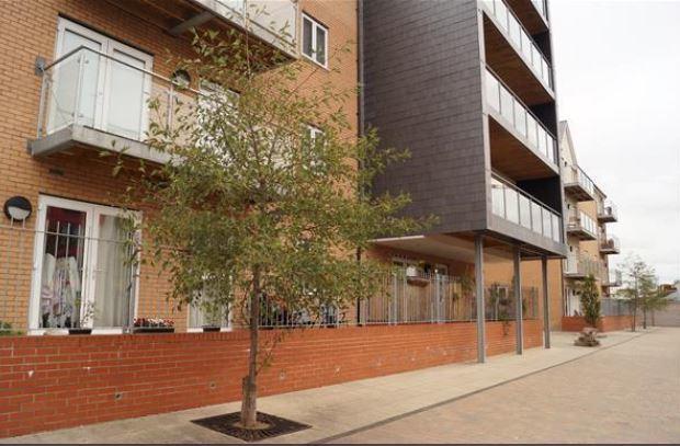 Vetrelax Chelmsford Apartment Esterno foto